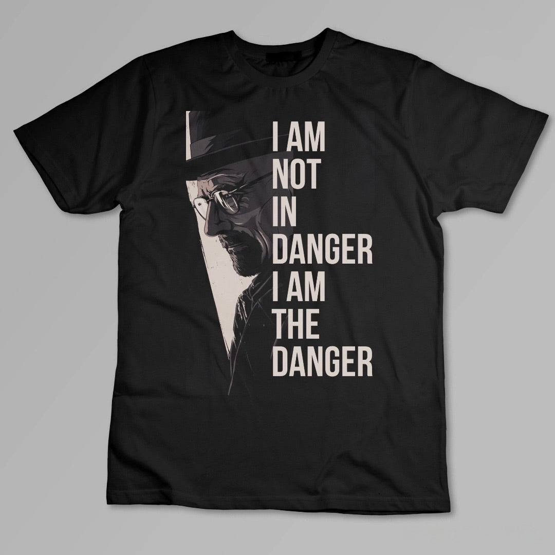 I’m not in danger I am the danger
