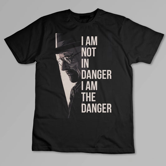 I’m not in danger I am the danger